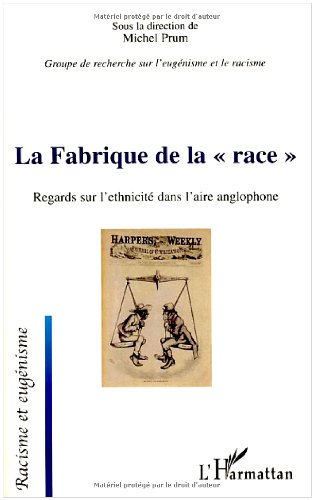 La  fabrique de la race