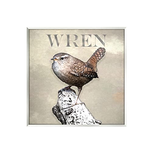 Stupell Industries Wren Bird Standing Casual Nature Breed Typography Wood Wall…