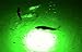 Green Blob Outdoors Jumbo Underwater Fishing Light for Docks 30,000 Lumen Green 600 LED 110 Volt AC with 3 Prong Plug Includes Timer w/Photocell, Night Fish Attracting 110 Volt Light, 30ft Power Cord