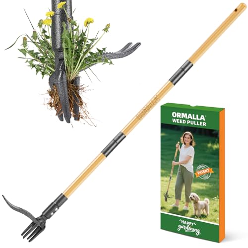 ORMALLA Weed Puller, 43.7in Long Handle Weed Remover, Dandelion Removal Tool, Natural Bamboo Handle and 4 Claws, Stand Up Garden Weed Root Remover, Pet Friendly (43.7in)