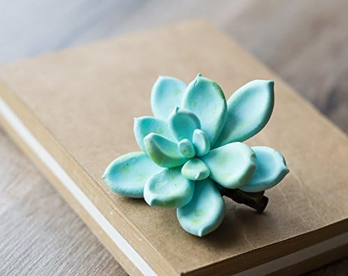 Succulent hair clip - succulent wedding gift - succulent headpiece - tropical hair clip - botanical accessory - nature wedding