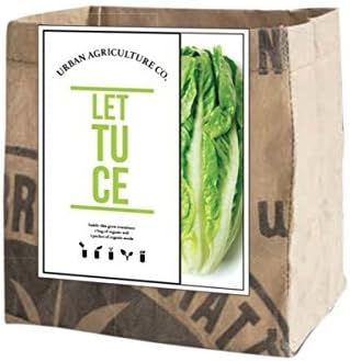 Urban Agriculture Vegetable Garden Grow Kit - Lettuce