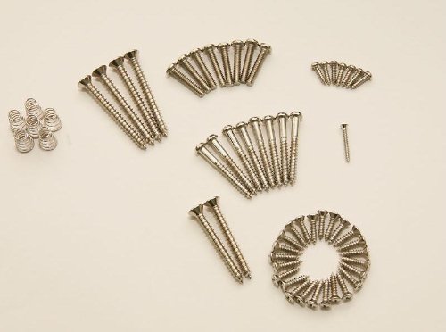 DiMarzio Standard Strat Screw Kit : All Screws to Assemble a Standard Strat