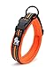 Fashion Shop Best Padded 3M Reflective Outdoor Adventure Dog Collar,Truelove Model - Brand New for 2015! Perfect match Fashion Shop 3M Leash (Orange, M)