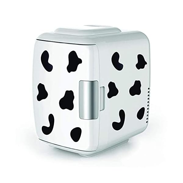 YANJ 4L Portable Car Fridge Electric Cooler And Heater 12V for Truck Boat Travel Party Picnic Outdoor WKY