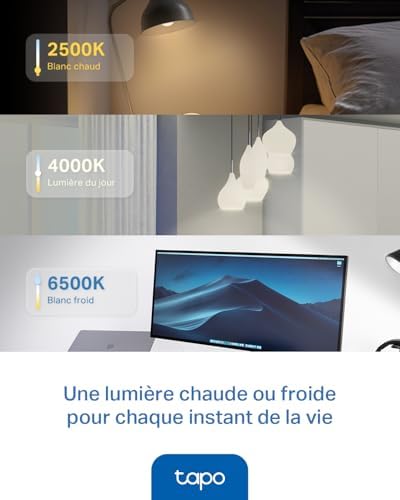 Ampoule Connectée Alexa E14, Multicolore LED Dimmable L430P