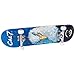Cal 7 Complete Skateboard, Popsicle Style with 5.25 Inch Trucks & 100A Wheels for Kids & Adults (8