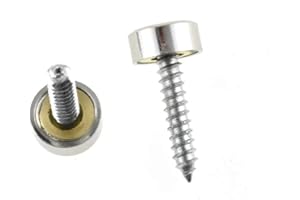 Hahiyo 10mm Diameter Mirror Screws Brushed Stainless Steel Solid Easy Install Brass Washer Decorative Caps Fasteners Nails 10 Pairs for Bathroom Mirrors Panels Kitchen Ceiling Arts Crafts