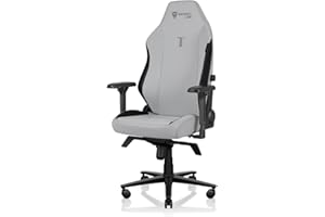 Secretlab Titan Evo Ash Gaming Chair - Reclining, Ergonomic & Comfortable Computer Chair with 4D Armrests, Magnetic Head Pillow & 4-Way Lumbar Support - Gray - Leatherette