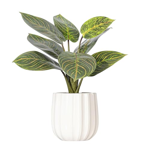 Vickerman 13" Philodendron Birkin in White Ceramic Pot.