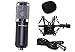 Condenser Microphone, Large Diaphragm Studio Mic Set, Recording Microphone Kit With XLR Cable, Wind Screen, Shock Mount, And Mic (Black)