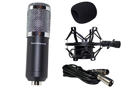 Condenser Microphone, Large Diaphragm Studio Mic Set, Recording Microphone Kit With XLR Cable, Wind Screen, Shock Mount, And Mic (Black)