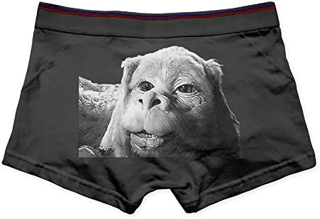 PAQIQI Menâ€˜s The Neverending Story Luck Dragon Full-Cut Briefs Underwear
