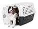 Petmate Compass Fashion Kennel Cat and Dog Kennel, 50-70 lb., Pearl White/Black, Made in USA