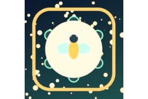 Twinkleford Pilot Showdown
