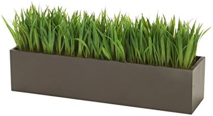 Distinctive Designs Grass in Rectangular Wood Box