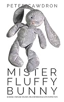 eBook edition cover