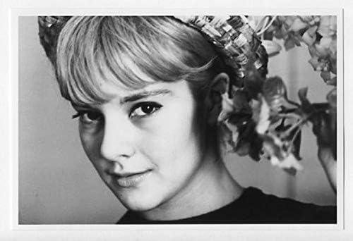 Amazon Co Jp シルヴィ バルタン Sylvie Vartan 写真 フォト 小 Portrait Photograph a シルビー ヴァルタン ホビー