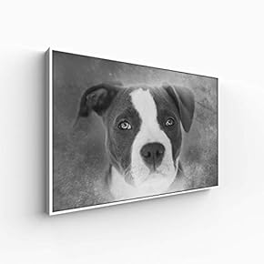 Canvas Wall Art for Living Room, Bedroom Animal Portrait Framed Canvas Prints for Home Decoration Ready to Hang - 16x24 inches