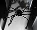 XONOR 4.9ft Long Plush Spider for Halloween Decoration (Spider Black)