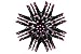 YBeauty Queen 3D Spherical Hot Curling Tangle Free Brush