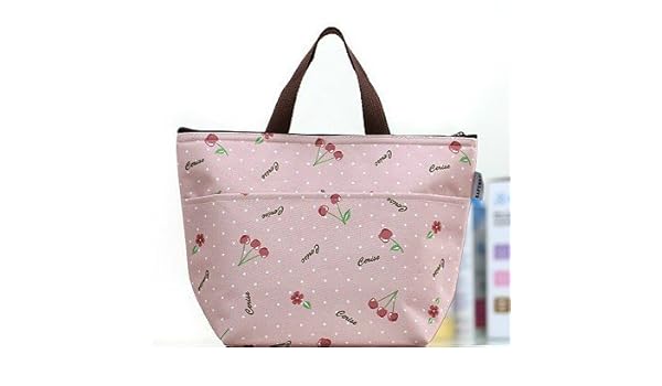 EQLEF - Bolso nevera forrado, diseño de flores, para llevar el ...