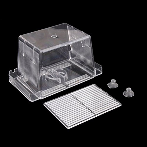 6 VORCOOL+Self+floating+Isolation+Incubator+Transparent