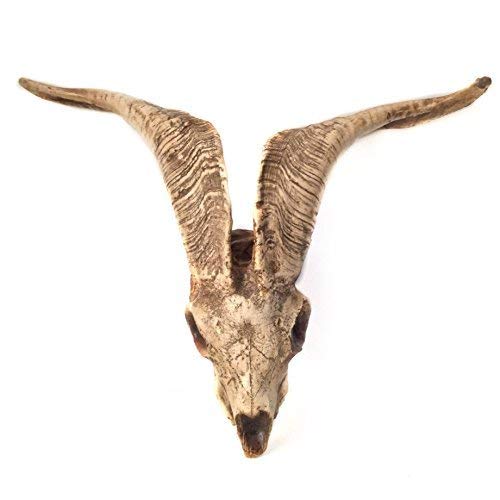 Crane De Bouc Decoratif A Suspendre Ou A Poser En Resine Decorated Polyresins Goat Skull Figurine Avec Tete Baphomet Ram Skull Replica Amazon Fr Handmade