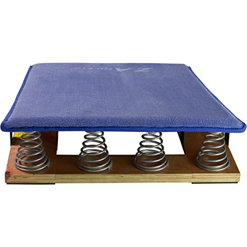 Z ATHLETIC Junior Springboard for Gymnastics (Blue), Small (ZATH