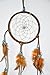 Dream-Catcher Native American Indian Inspired Chakras Brown