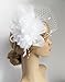 Cizoe Fascinators Hats for Women with Hair Clip Tea Party Hats Feather Wedding Headware Bridal Headpiece(1-White)