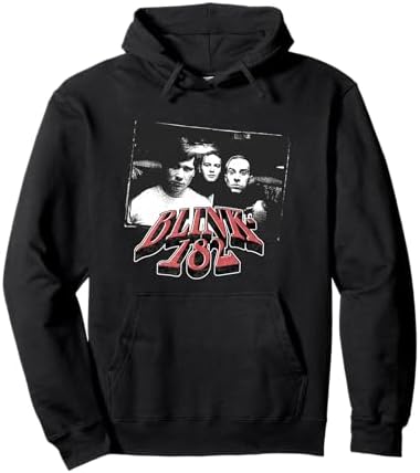 Amazon.com: Official Blink-182 One More Time Portrait Pullover