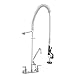 Aquaterior Double Handle Brass Pre-Rinse Commercial Wall-mount Faucet 12