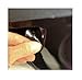 C7 Corvette Stingray Cleartastic Exterior Door Handle Cove Film Kit - Paint Protection
