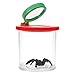 Bug Viewer Box - Bug Jar for Children - Plastic Transparent Catcher Kit with 3X Magnifying Lens, 2.5 x 3.1 x 2.5 Inches, Red and Green