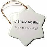 3dRose orn_112212_1 9, 131 Days Together But Who's Counting Happy 25th Anniversary Snowflake Porcelain Ornament, 3-Inch