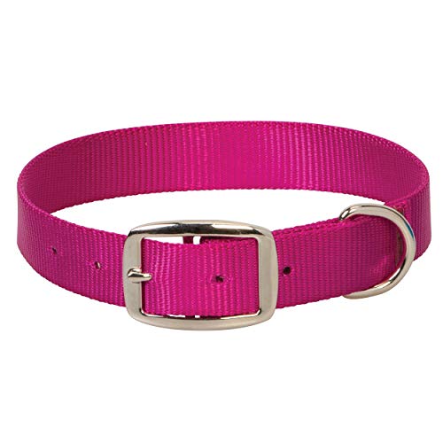 Prism Single-Ply Collar, 3/4" x 17", Raspberry