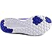 Nike Women's FS Lite Run 2 Running Shoe