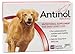 Antinol Joint Care Supplement For Dogs 60 Count
