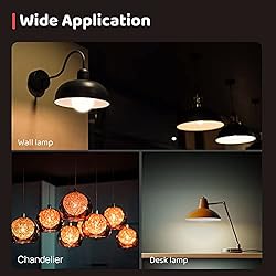 OREiN A19 LED Light Bulb, Enclosed Fixture