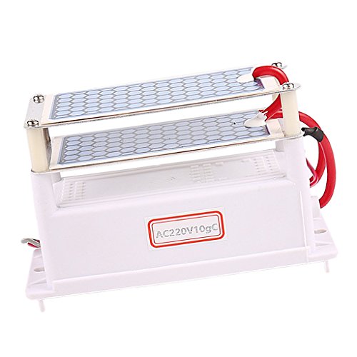 MonkeyJack Portable 220V Ozone Generator 10g/h with Ceramic Plate Double Sheet For Chemical Factory