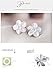 Eove Jewelry Women Sterling Silver Matte Finish Hawaiian Plumeria Flower Cubic Zirconia Stud Earrings