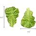 Hagao Fake Lettuce Leaves Artificial Vegetables Lettuces Simulation Plastic Lifelike for House Kitchen Party Pub Decoration Cabinet Ornament 3 pcs