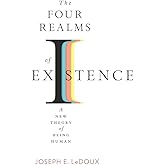 The Four Realms of Existence: A New Theory of Being Human