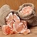 The Spice Lab Himalayan Salt - Coarse XL Grinder With Refill (30 oz) - Pink Himalayan Salt is Nutrient and Mineral Dense for Health - Gourmet Pure Crystal Kosher & Natural Certified