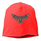 Woman Skull Cap Beanie Owl Art Picture Headwear