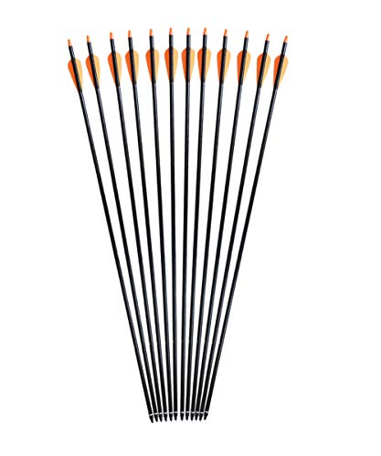 CQ Archery Practice Arrows for Recurve/Compound Bow or Traditional Bow (Targeting and Hunting) 30 inch Shaft with Removable Tips 12 Pack
