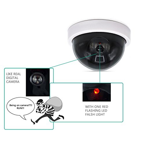 2 WALI+Security+Camera+Flashing+SDW+4