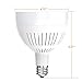 Bonbo LED Pool Light Bulb 120V 65W LED Swimming Pool Light Bulb 6000K Daylight White, Replaces up to 500-800W Traditional Bulb for Most Pentair Hayward Light Fixture