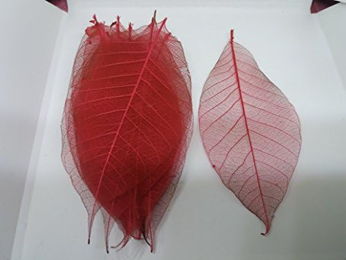 200x Pink Natural Skeleton Leaves Rubber Tree Scrapbook Craft Wedding Decor
